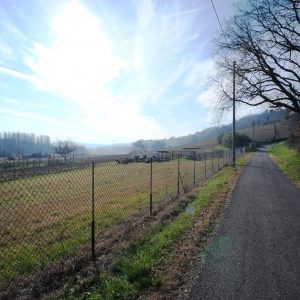 TERRENO EDIFICABILE GRADARA