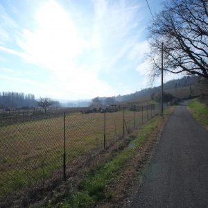 TERRENO EDIFICABILE GRADARA