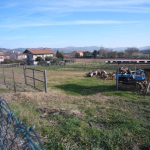 TERRENO EDIFICABILE GRADARA