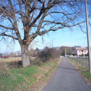 TERRENO EDIFICABILE GRADARA